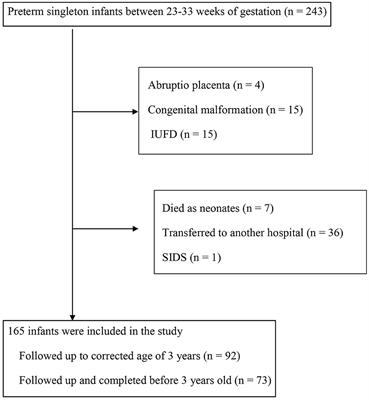 Pre-eclampsia Complicated With Maternal Renal Dysfunction Is Associated With Poor Neurological Development at 3 Years Old in Children Born Before 34 Weeks of Gestation